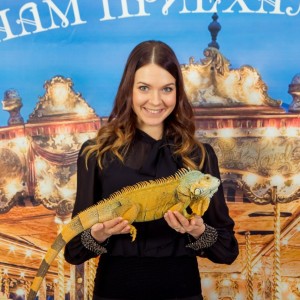 К нам приехал цирк