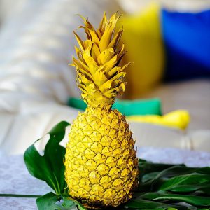 Презентация формы Tez Tour