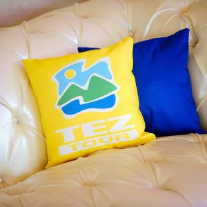 Организация и проведение презентаций