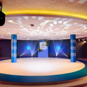 Организация и проведение презентаций