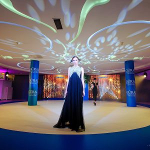 Организация и проведение презентаций