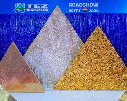 roadshow202-egypt (3)